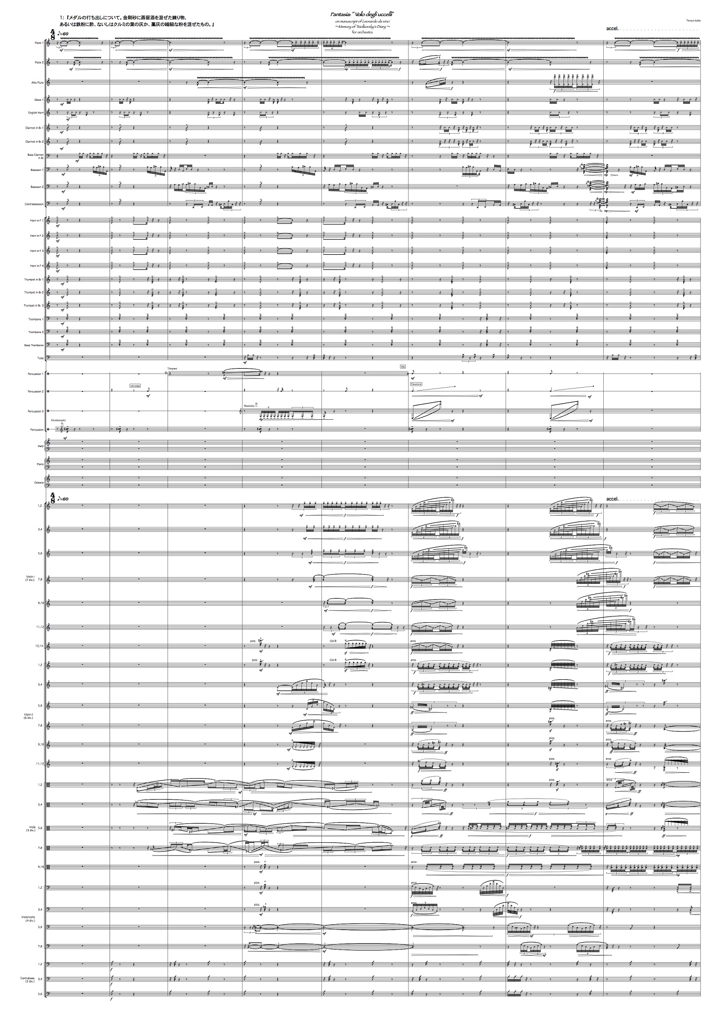 Fantasia:“Volo degli uccelli” on manuscript of Leonardo da Vinci ~Memory of Tsiolkovsky's Diary~ for orchestra (2016)